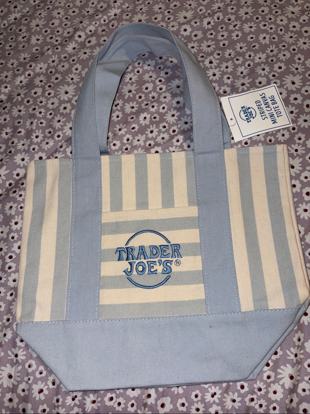 Trader Joe's Women's Light Blue & Cream Striped Mini Canvas Tote Bag